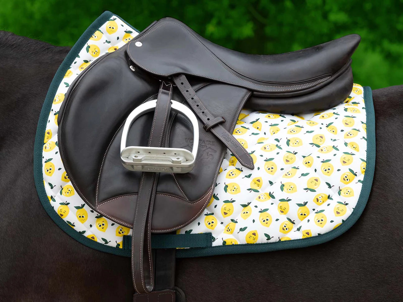 SQUEEZE THE DAY Saddle Pad